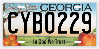 GA license plate CYB0229