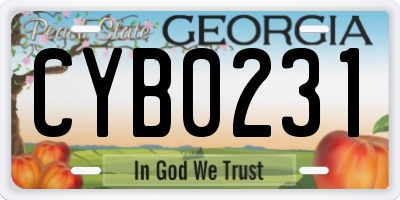 GA license plate CYB0231