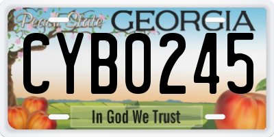 GA license plate CYB0245