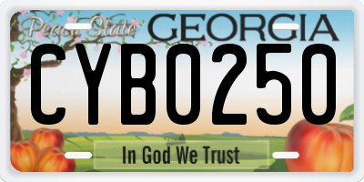 GA license plate CYB0250