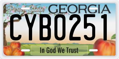 GA license plate CYB0251