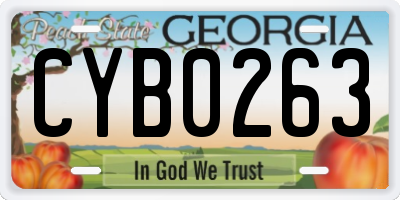 GA license plate CYB0263