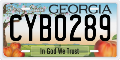 GA license plate CYB0289