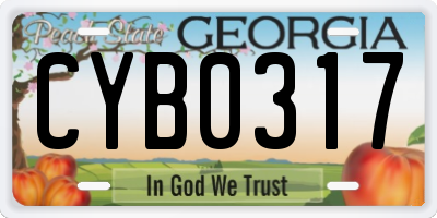 GA license plate CYB0317