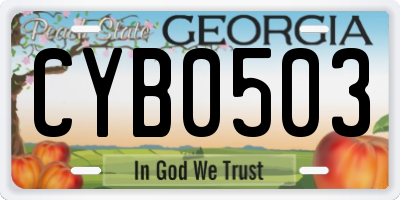 GA license plate CYB0503