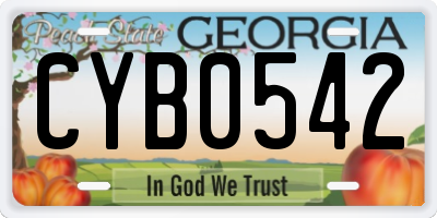 GA license plate CYB0542
