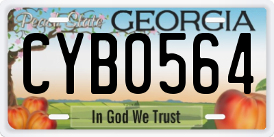 GA license plate CYB0564