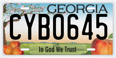 GA license plate CYB0645