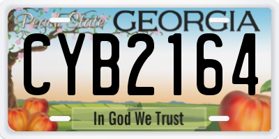 GA license plate CYB2164