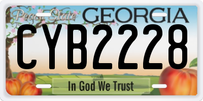 GA license plate CYB2228