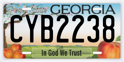 GA license plate CYB2238