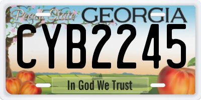 GA license plate CYB2245