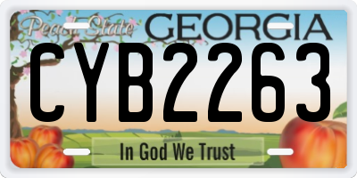GA license plate CYB2263