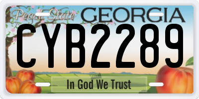 GA license plate CYB2289