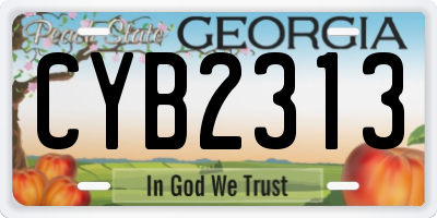 GA license plate CYB2313