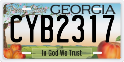 GA license plate CYB2317