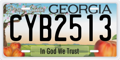 GA license plate CYB2513
