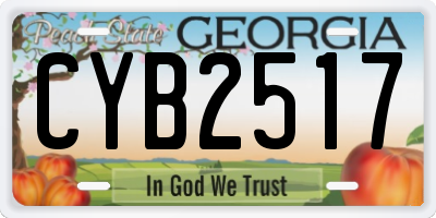 GA license plate CYB2517