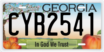 GA license plate CYB2541