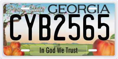 GA license plate CYB2565