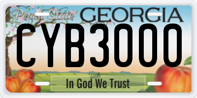 GA license plate CYB3000