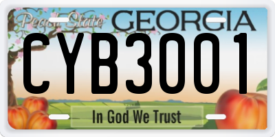 GA license plate CYB3001