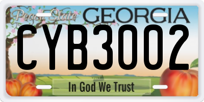 GA license plate CYB3002