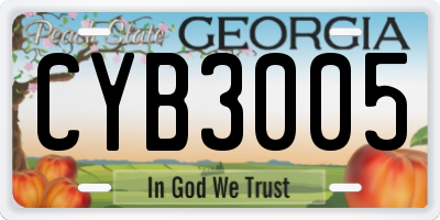 GA license plate CYB3005