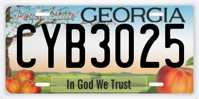 GA license plate CYB3025