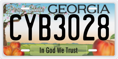 GA license plate CYB3028