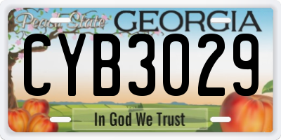 GA license plate CYB3029