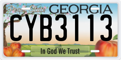 GA license plate CYB3113