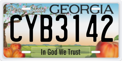 GA license plate CYB3142