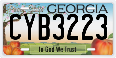 GA license plate CYB3223