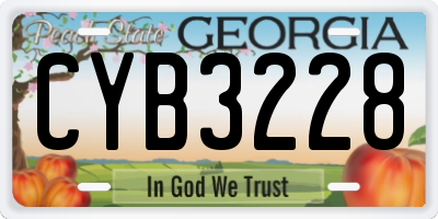 GA license plate CYB3228
