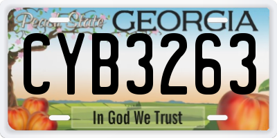 GA license plate CYB3263