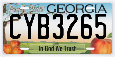 GA license plate CYB3265