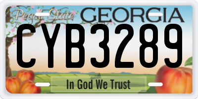 GA license plate CYB3289