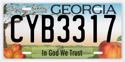 GA license plate CYB3317