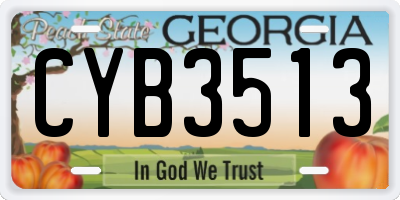 GA license plate CYB3513
