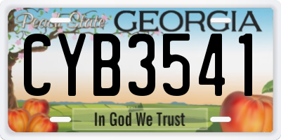 GA license plate CYB3541
