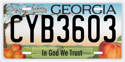 GA license plate CYB3603