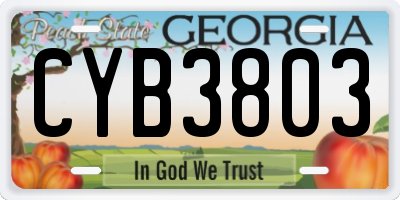 GA license plate CYB3803