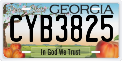 GA license plate CYB3825