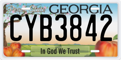 GA license plate CYB3842