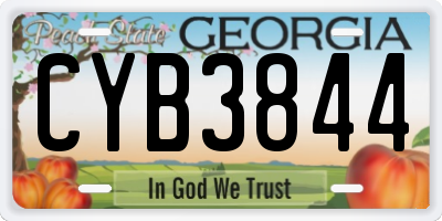 GA license plate CYB3844