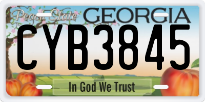 GA license plate CYB3845