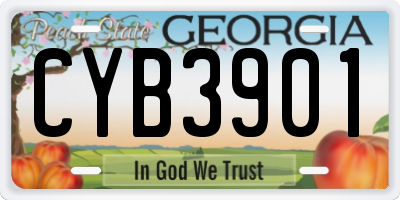 GA license plate CYB3901