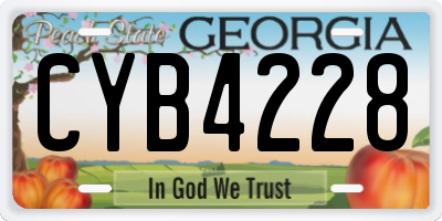 GA license plate CYB4228