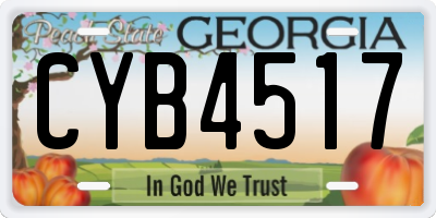 GA license plate CYB4517